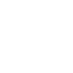 Night Stories Logo